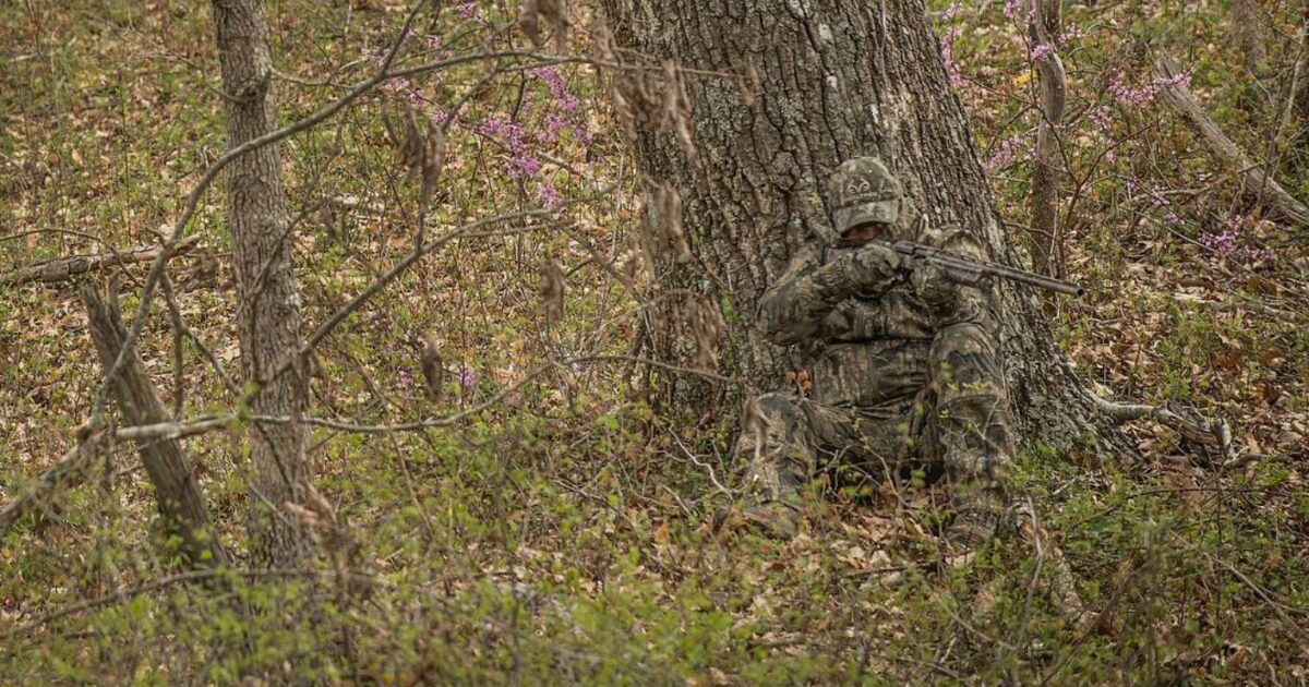 Korth Group Outdoor Education, Understanding Camouflage